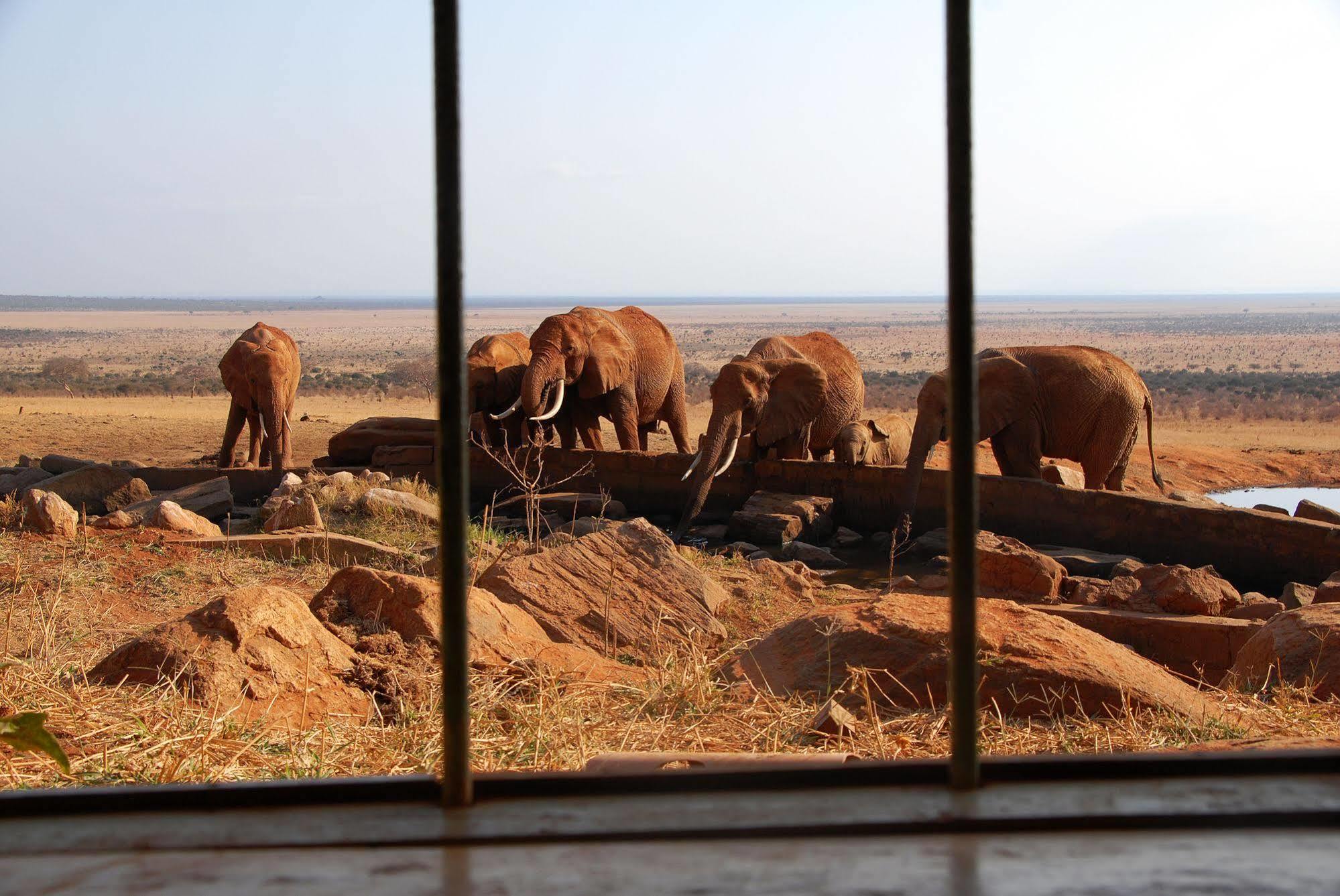 Voi Safari Lodge ภายนอก รูปภาพ